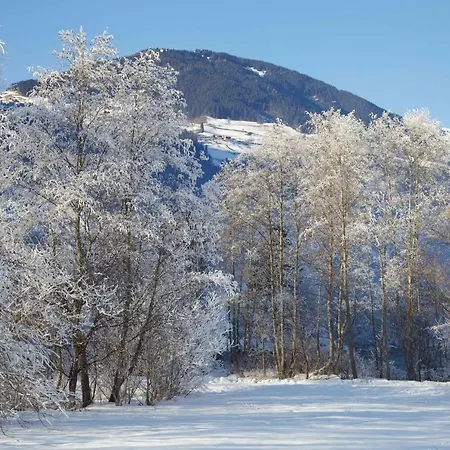 Gaestehaus Elisabeth Отель типа 