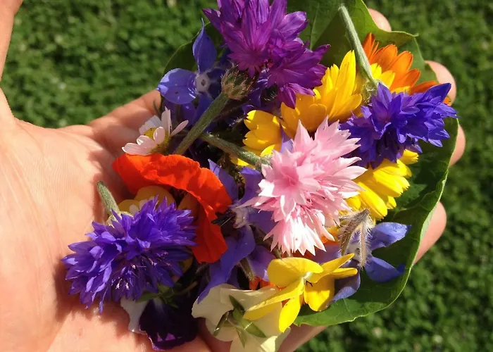 Gaestehaus Elisabeth Nocleg ze śniadaniem