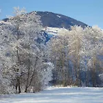 Gaestehaus Elisabeth Bed & Breakfast Mayrhofen